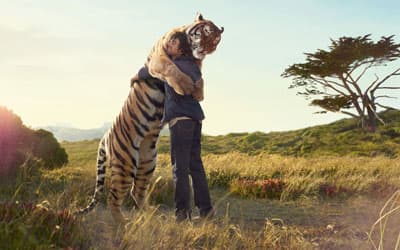 Man hugging tiger