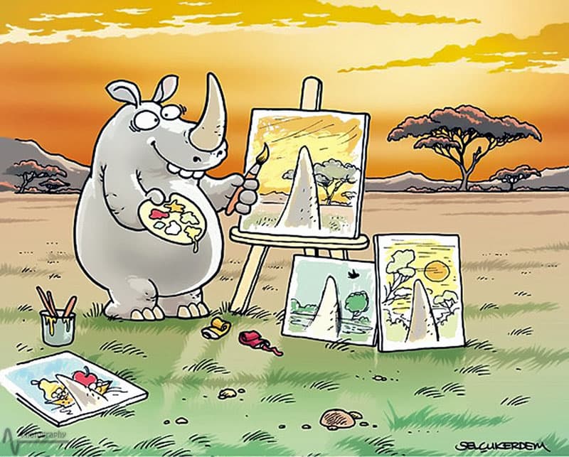 Vision from a rhinoceros