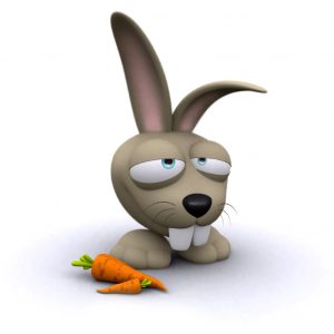 Lapin et carottes - Rabbit with carrots